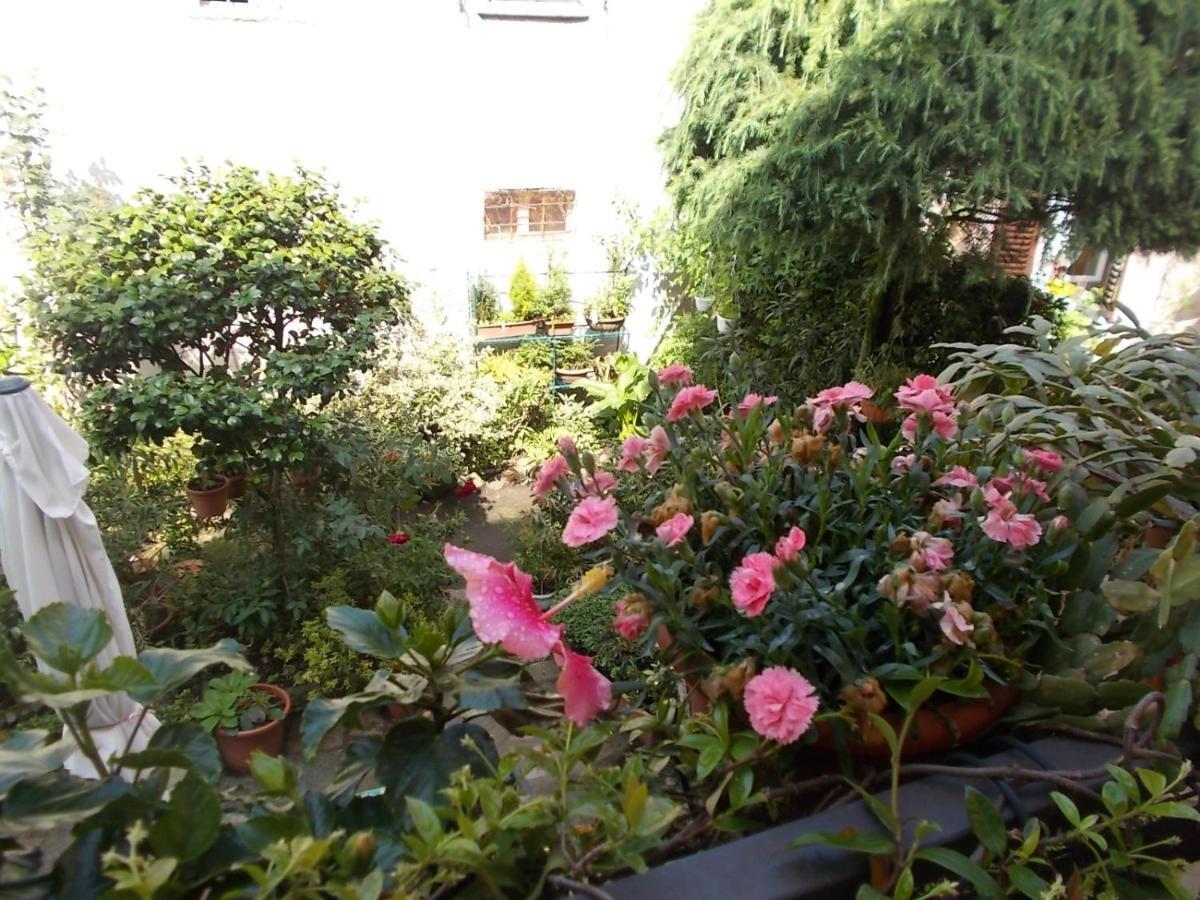 B&B Zia Lina Донго Экстерьер фото